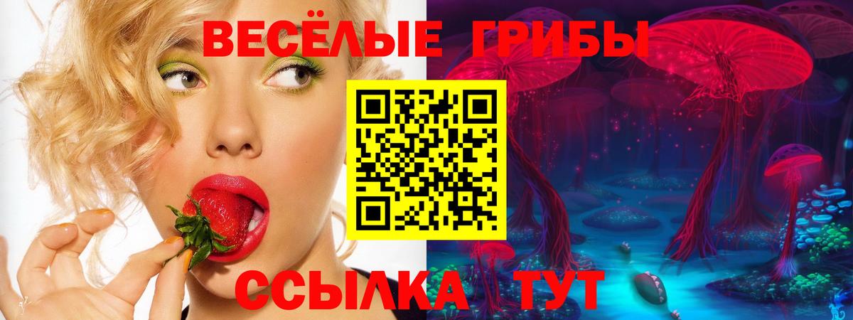 магазин продажи наркотиков  Вход с VPN  Осинники  Псилоцибиновые грибы GOLDEN TEACHER 